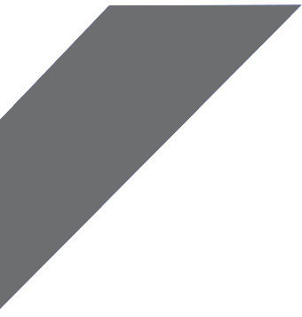 cae logo right gray