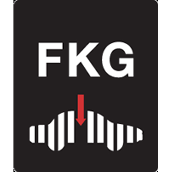fkg scandinavian automotive supplier association cae value